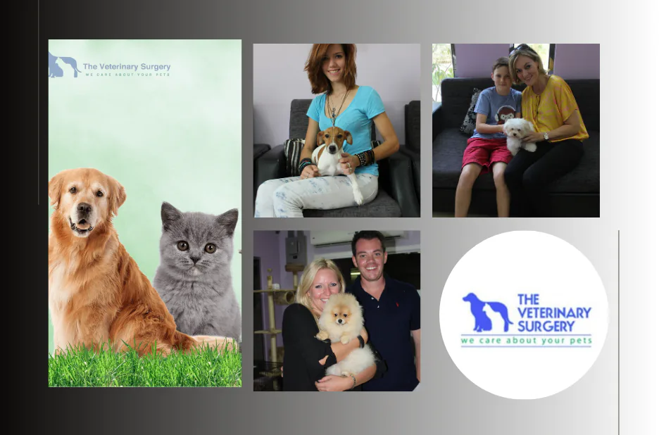 Top Doha Veterinary Center for Expert Pet Care and Emergency Services
