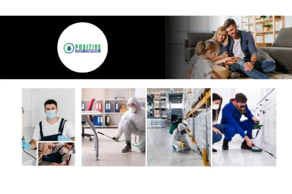 Effective Bed Bug Removal Calgary Services | Trusted Exterminators & Fast Results