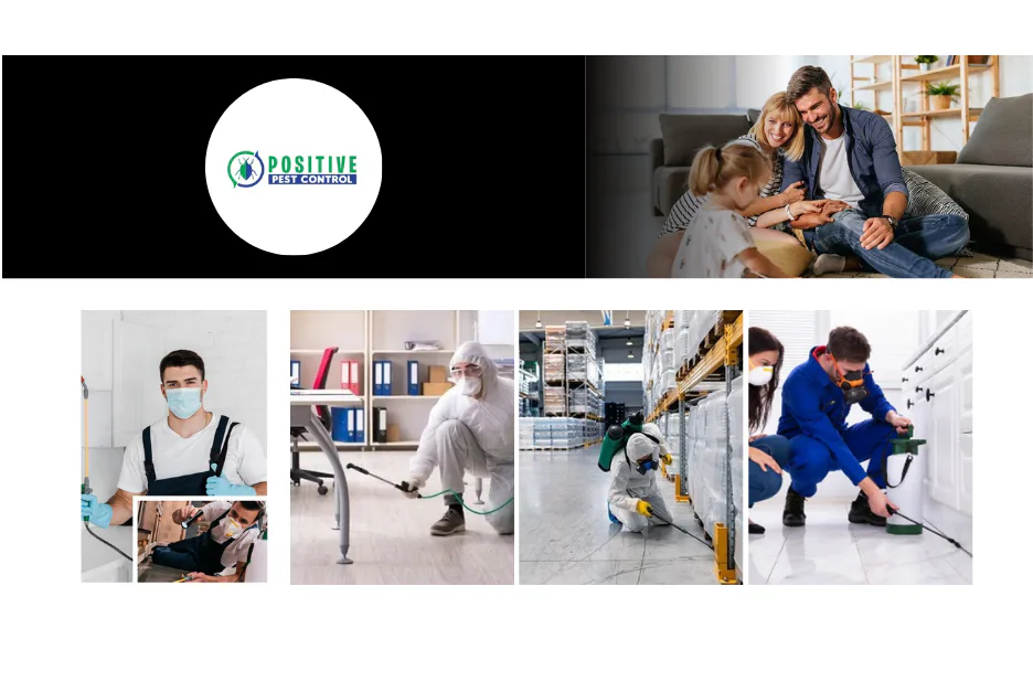Effective Bed Bug Removal Calgary Services | Trusted Exterminators & Fast Results