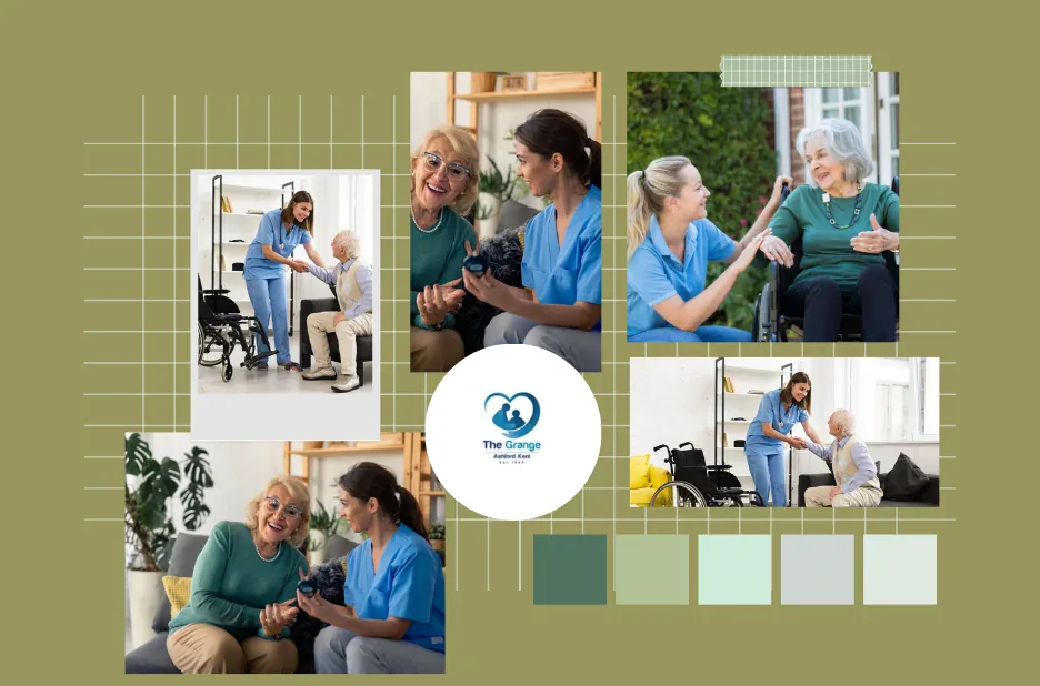 Top Elderly Care Services in Ashford for Compassionate and Personalized Support