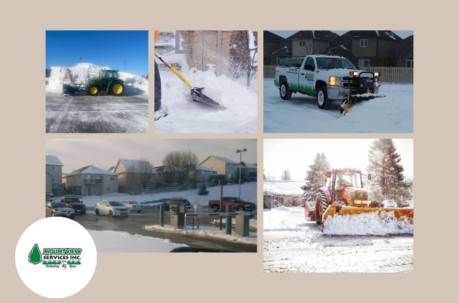 Expert Landscaping Kitchener Services | Transform Your Outdoor Space Today