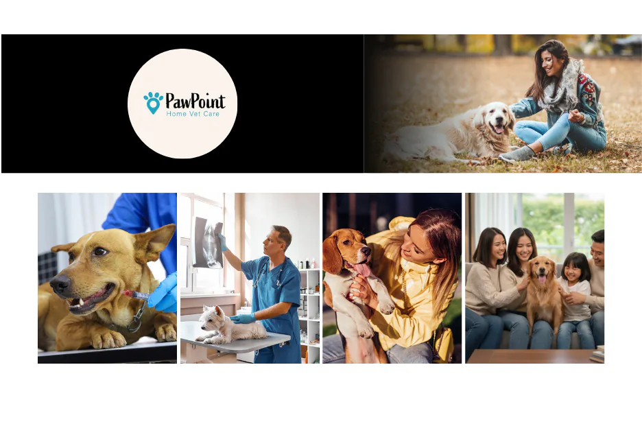 Compassionate Pet Euthanasia Near Me – Gentle and Professional Care at Home