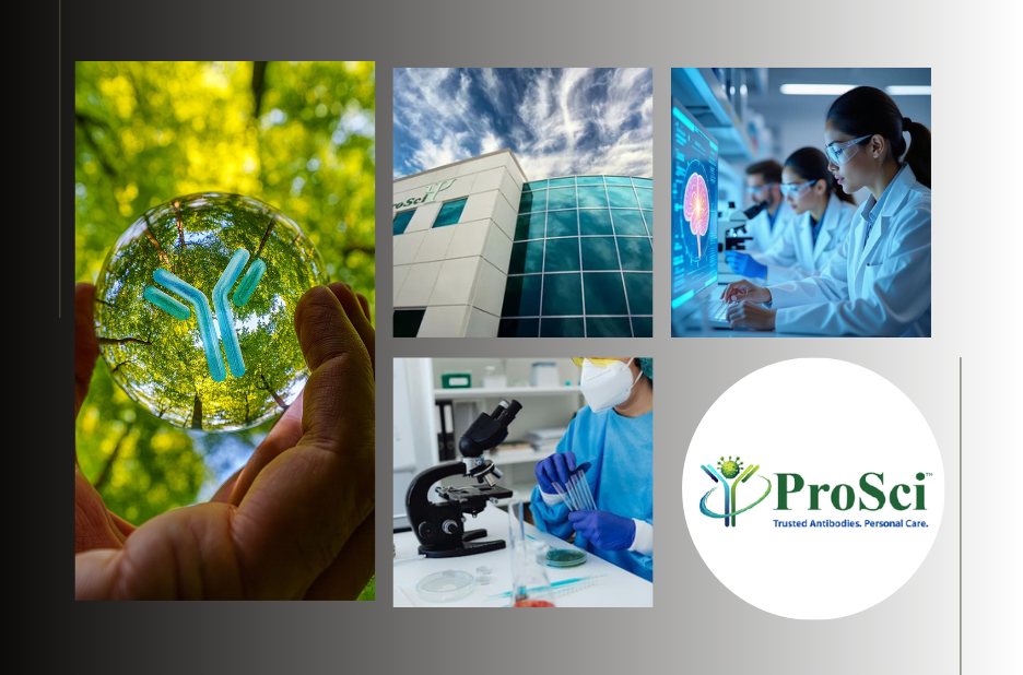 Custom Antibody Labeling Services for Precise and Reliable Research Results
