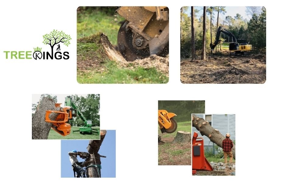 Reliable Tree Services Strathmore for Fast and Affordable Tree Care