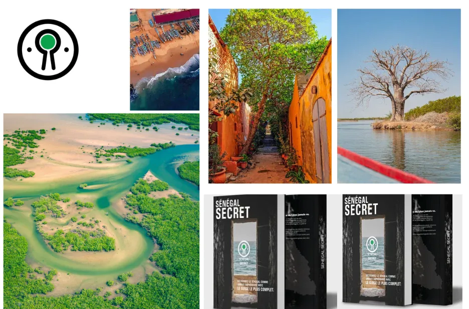 Conseils essentiels pour voyager au Sénégal