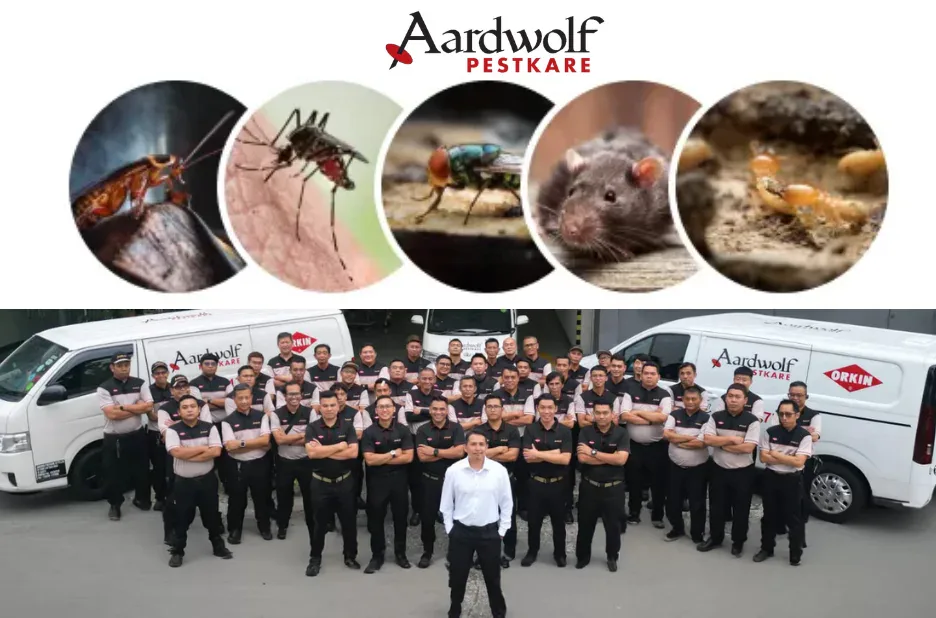 Best Guide mosquito pest control Solutions Today Now
