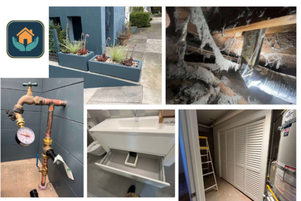 Expert Handyman Near Me Oakland CA for Repairs, Maintenance & Setup