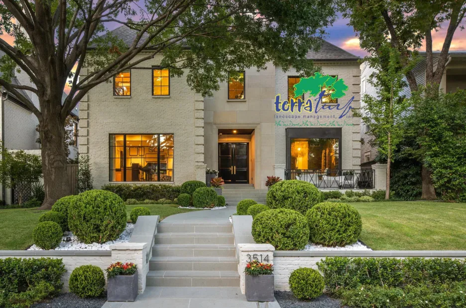 Professional landscaping plano texas for homes and businesses