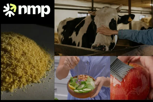 Professional chitin manufacturer for bulk industrial and biomedical supply