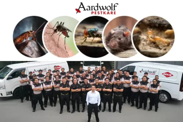 Top Pest Control Singapore Services for Effective and Safe Pest Removal