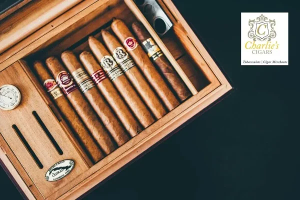 Experience top quality with Best Cigars in Delhi