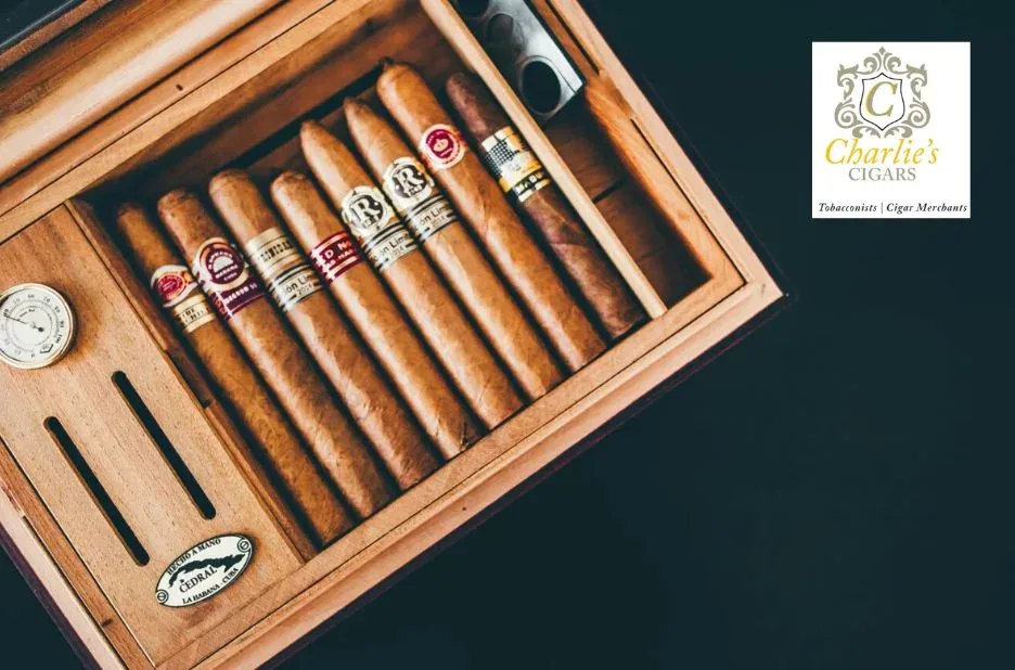 Experience top quality with Best Cigars in Delhi