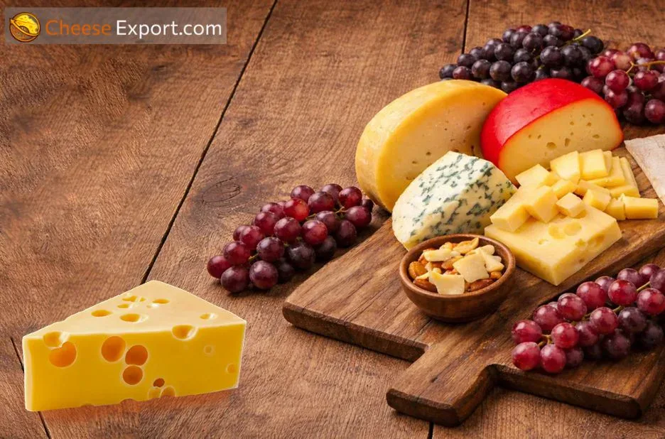 Top Kosher Cheese Exporters Delivering Certified Quality Dairy Products Worldwide