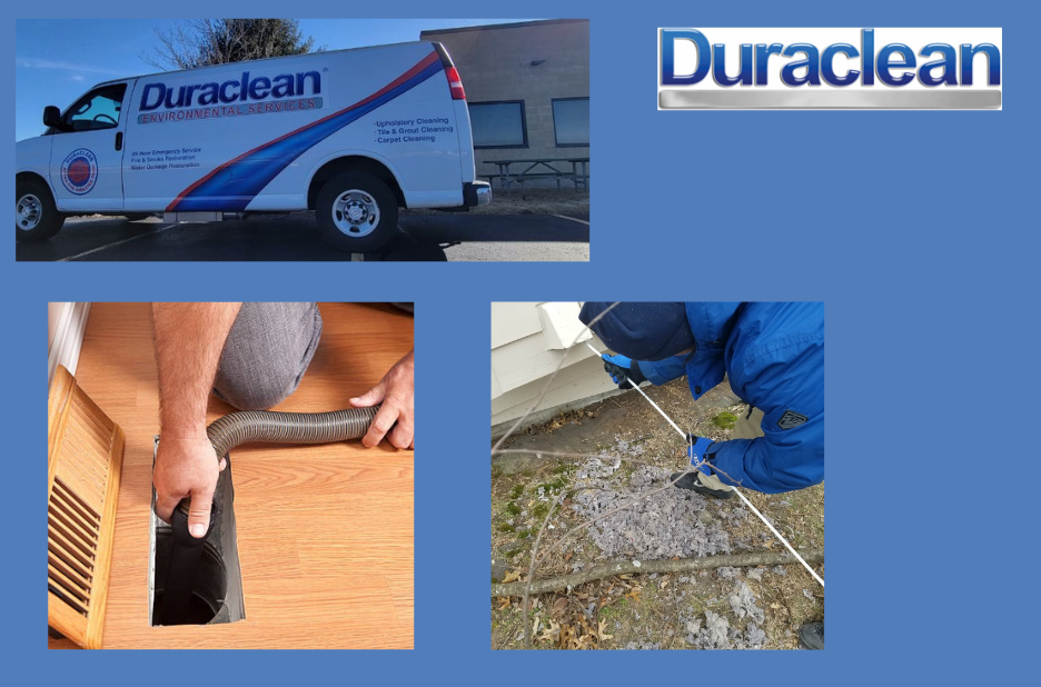 Carpet Cleaning Belvidere | Duraclean.us