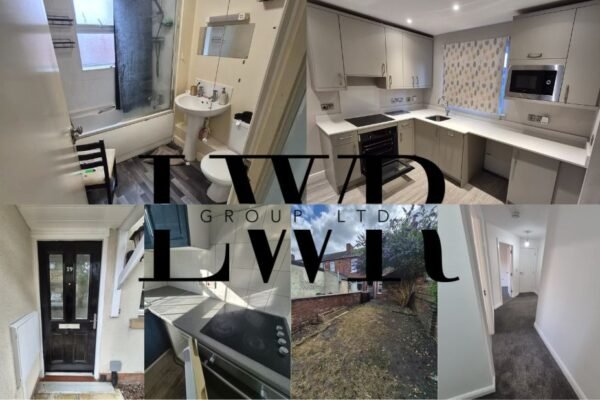 Professional Mould Inspection Lincoln Services for Safe and Healthy Properties