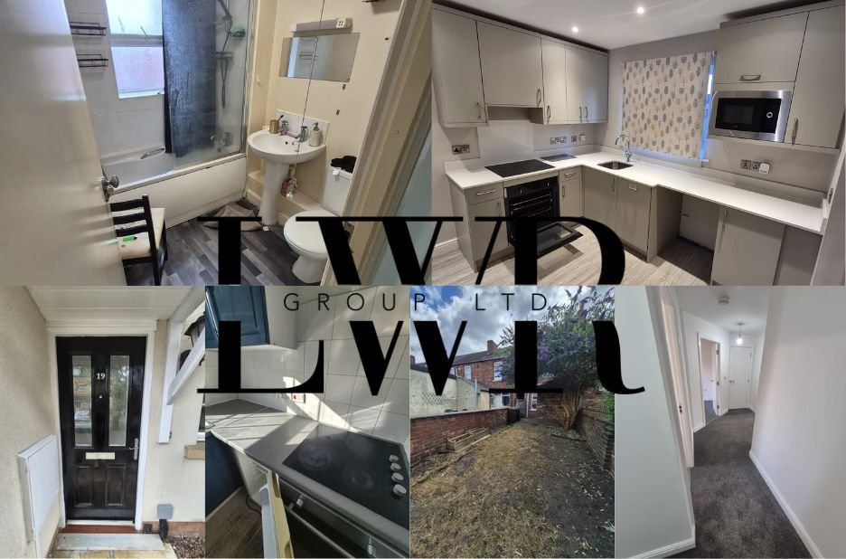 Professional Mould Inspection Lincoln Services for Safe and Healthy Properties