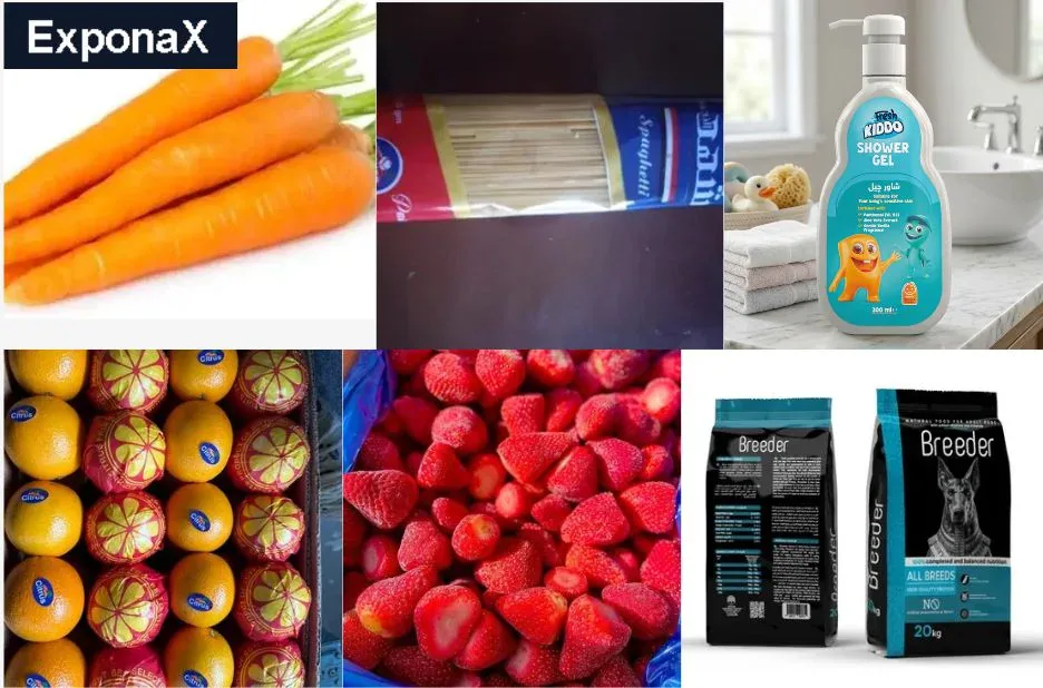 Top Frozen Fruits Supplier Middle East | Quality & Reliable Sourcing at Exponax.com