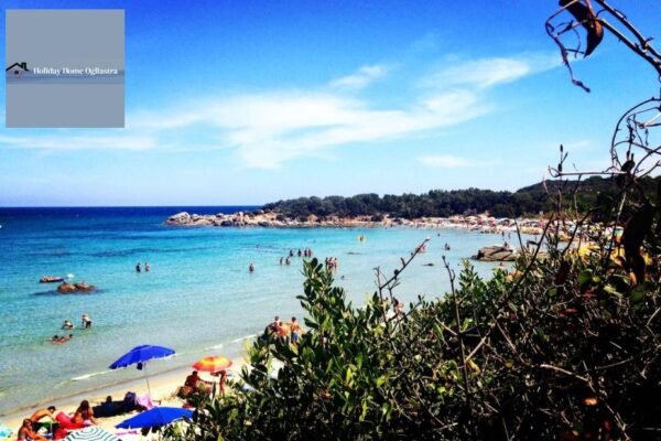 Ogliastra gite in barca: tour indimenticabili alla scoperta della costa sarda