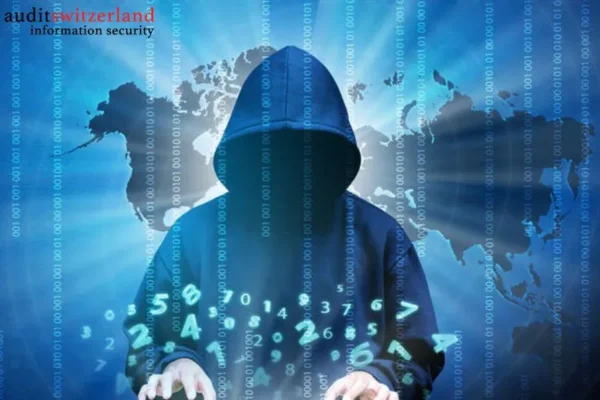 Professionelle Online-It-Prüfungsdienste Schweiz für sichere IT-Governance und Compliance