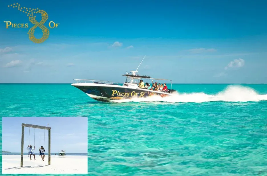 Swim With Pigs Bahamas Nassau – Unforgettable Tours with Piecesof8tours.com