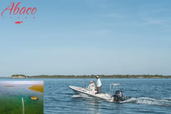 Best Fly Fishing Lodge Bahamas for Ultimate Angling Adventure and Luxury Stay