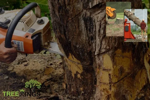 Expert Stump Removal Service Greenvale | Reliable & Efficient Solutions