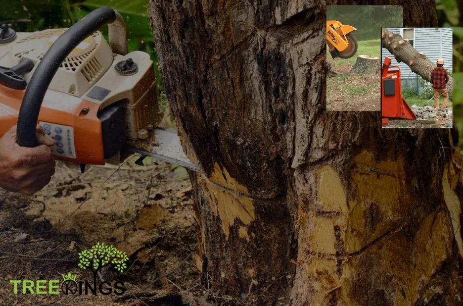 Expert Stump Removal Service Greenvale | Reliable & Efficient Solutions