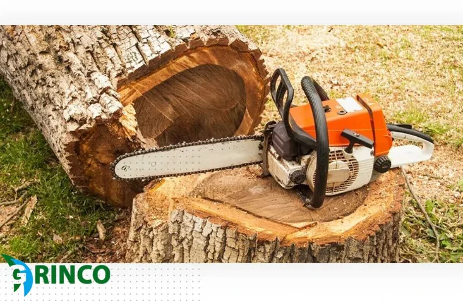 Expert Tree Removal Point Cook Services for Safe and Efficient Property Care