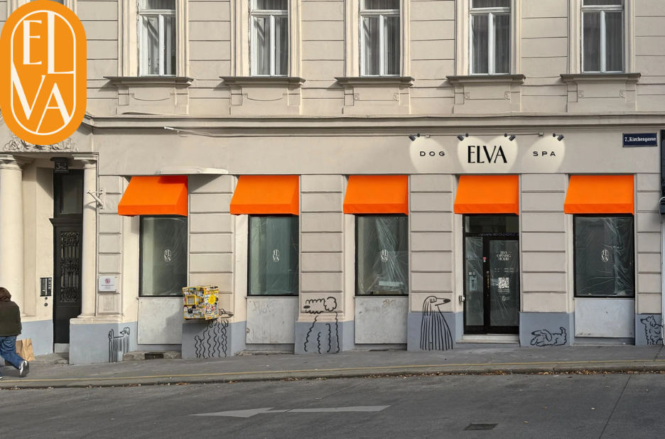 Hund Wellness Behandlung Wien – Ganzheitliche Pflege und Entspannung für Ihren Vierbeiner