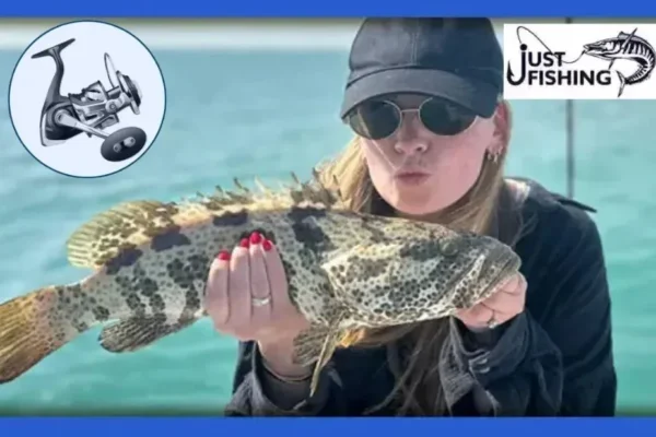 Top Offshore Fishing Gear UAE for Durable and High-Performance Angling Equipment