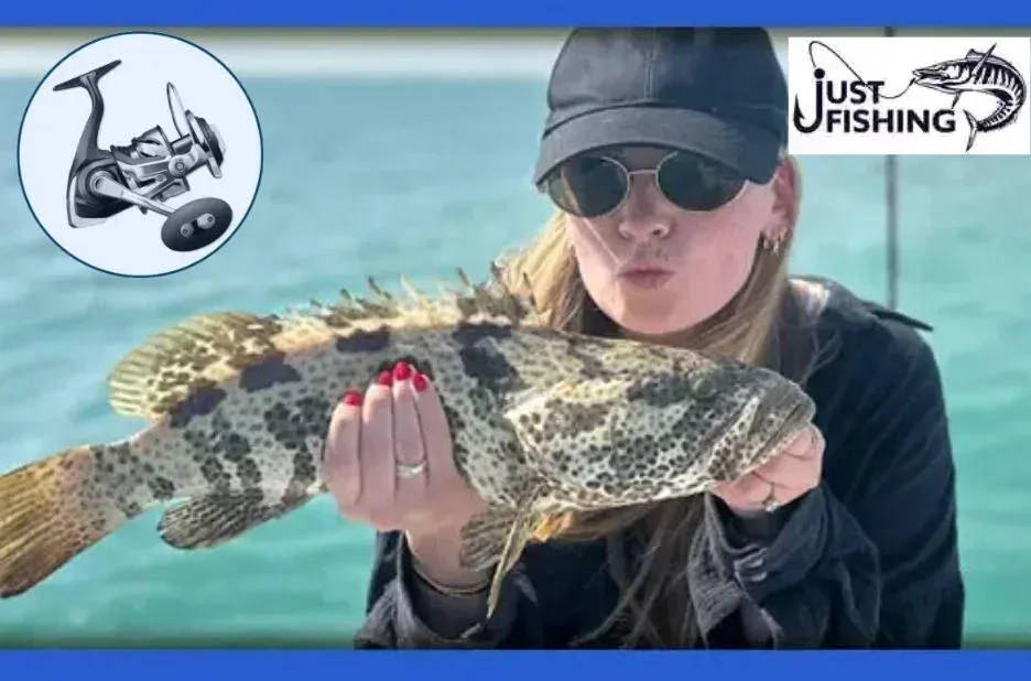 Top Offshore Fishing Gear UAE for Durable and High-Performance Angling Equipment