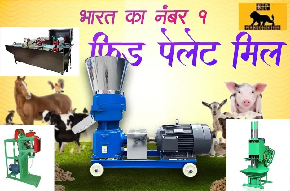 Buy Efficient Papad Khakhra Machine Online for Reliable Snack Production