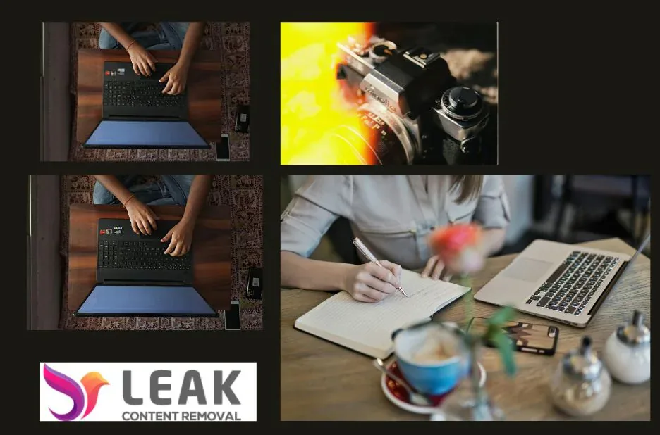 Reputation Management Expert | Leakcontentremoval.com