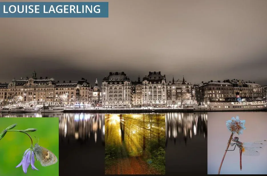 Effektiv Parterapi i Stockholm – Stärk Din Relation med Professionell Hjälp