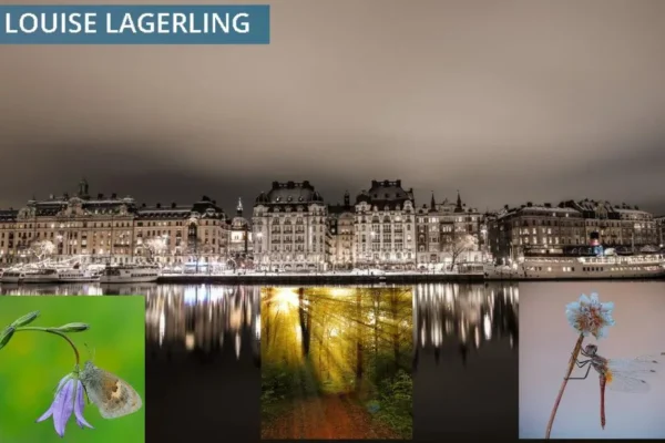 Stockholms psykoterapimottagning – Professionell terapi för barn och vuxna | Louiselagerling.se