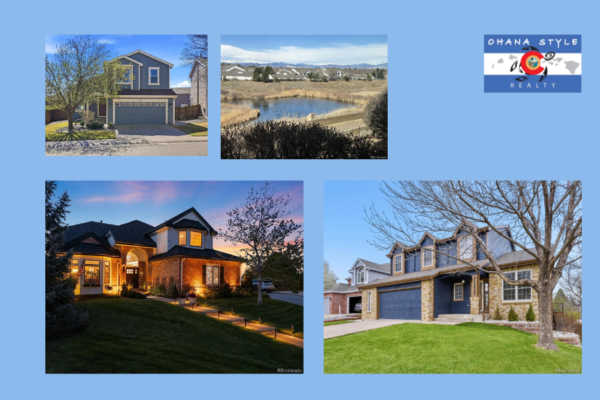 Best Real Estate Agent In Highlands Ranch | Ohanastylerealty.com