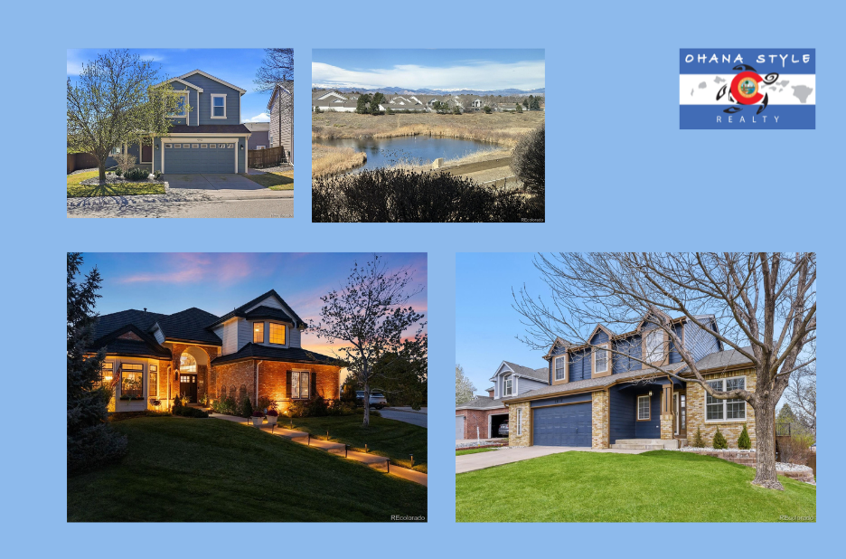 Best Real Estate Agent In Highlands Ranch | Ohanastylerealty.com