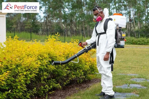 Effective Mice Droppings Cleaning Services for a Safe and Hygienic Environment