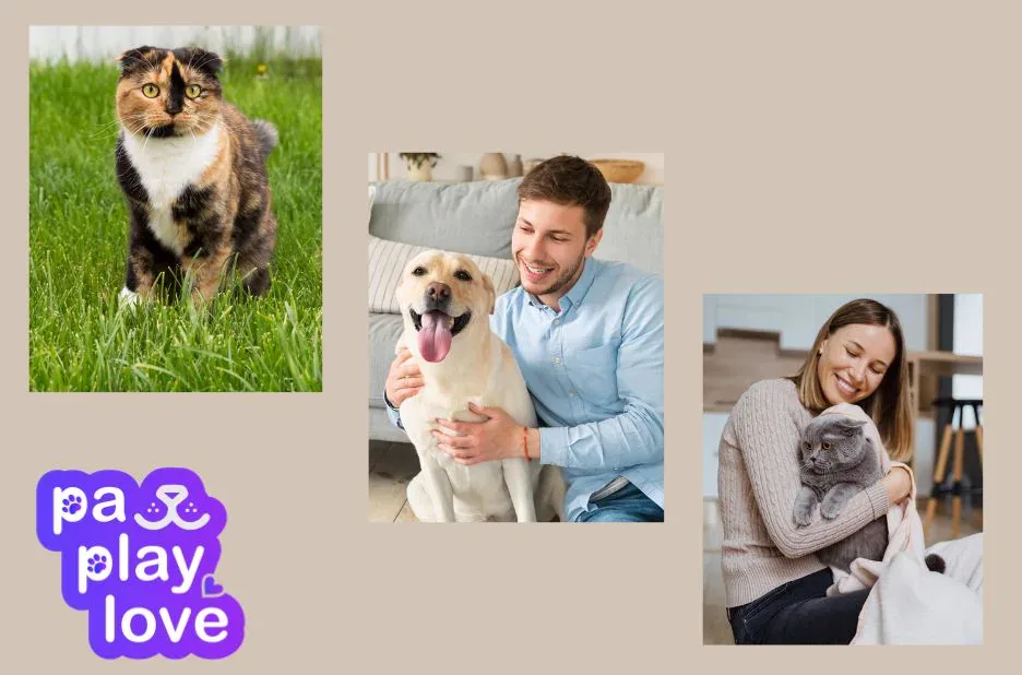 How To Find Mate For My Dog | Petdatingnearme.com