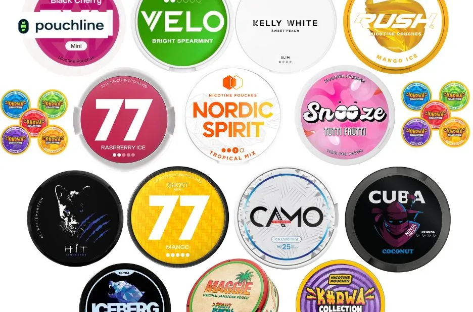 Buy Fruit Flavored Nicotine Pouches Online – Premium Quality & Delicious Taste