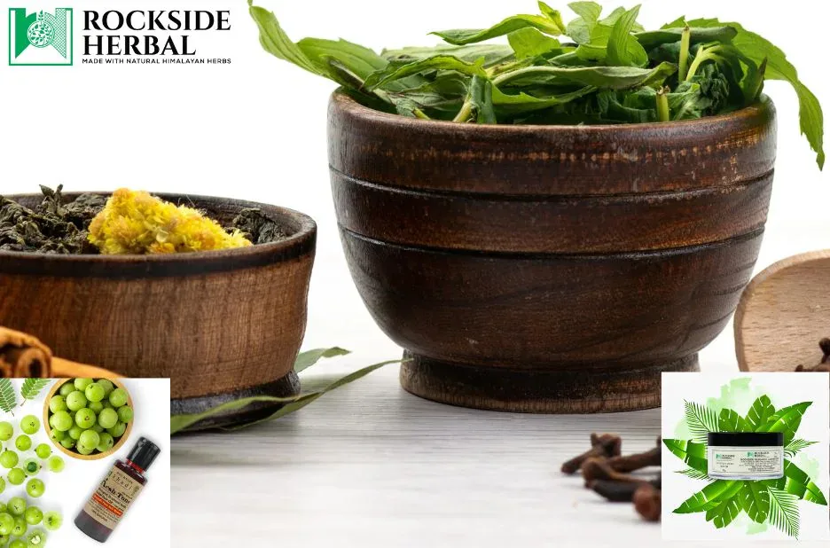 Buy Amla Hair Shampoo for Healthy, Nourished Hair at Rocksideherbal.com