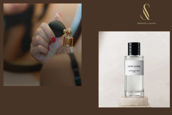 Dubai Perfume Brands | Scentsluxury.ae