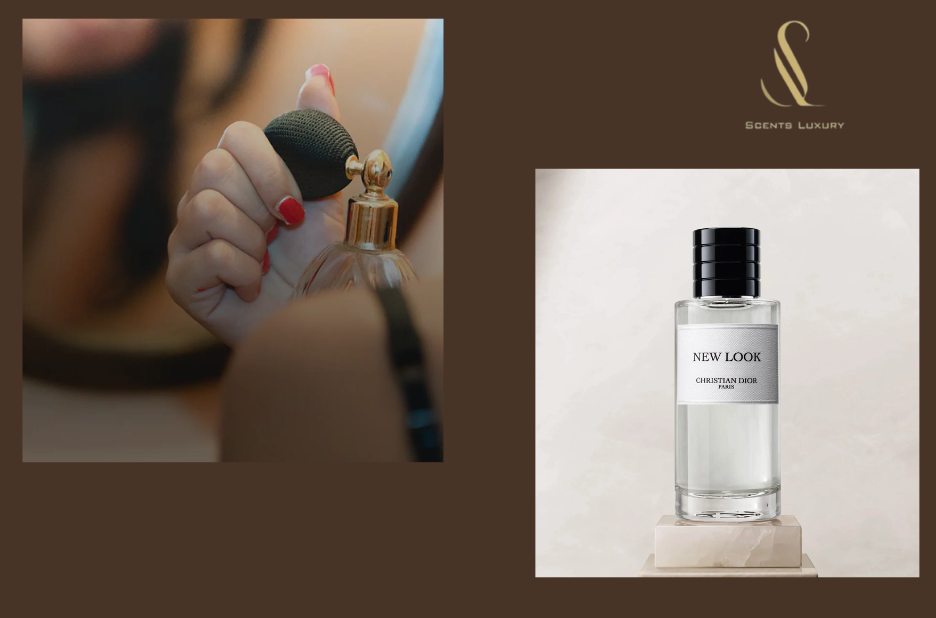 Dubai Perfume Brands | Scentsluxury.ae