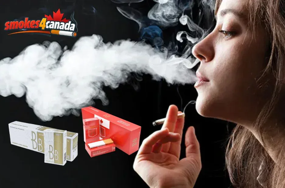 Best Discount Smokeless Tobacco Canada Deals – Save Big on Quality Products Today