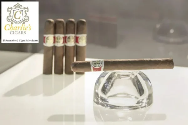 Top Cigar Accessories in Kolkata – Premium Humidors, Lighters & Cutters Online