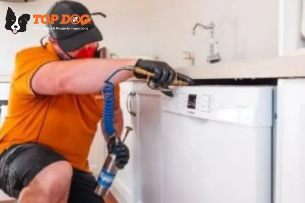 Effective Pest Control Nerang Services for Fast and Safe Pest Elimination