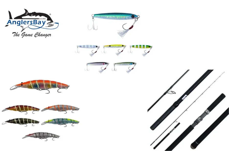 Top Shimano Reels for Smooth Performance and Durability | Anglersbay.com