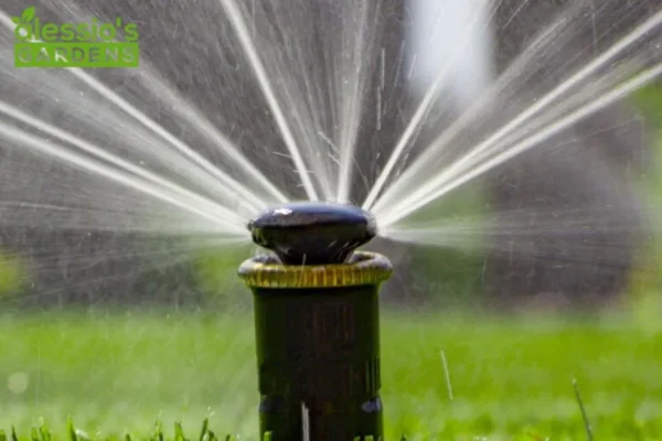 Professional Commercial Landscaping Service in Perth to Enhance Your Business Frontage