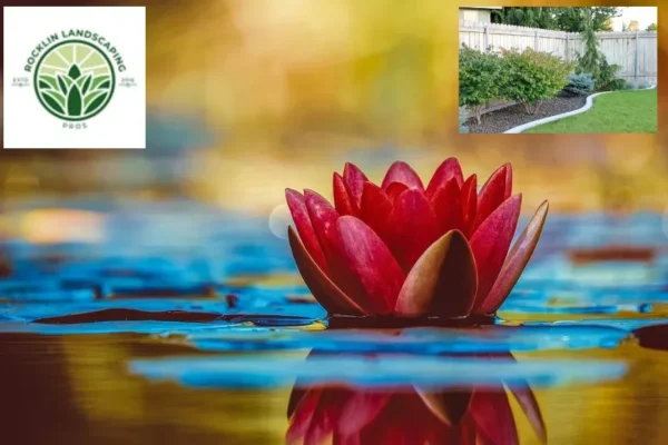 Top Landscaping Services in Rocklin CA | Transform Your Backyard Today
