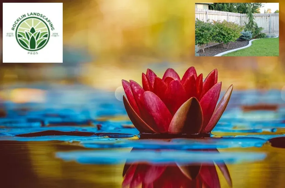 Top Landscaping Services in Rocklin CA | Transform Your Backyard Today